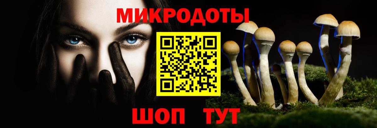 Галлюциногенные грибы Cubensis Северобайкальск