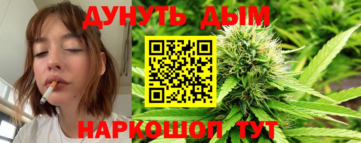 Бошки марихуана MAZAR  Конопля White Widow  Вход с VPN  Северобайкальск 